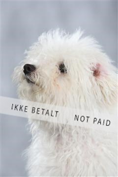 128239_le_kort_ 01_0351.JPG