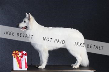 132082_le_ 01_IMG_1380.JPG