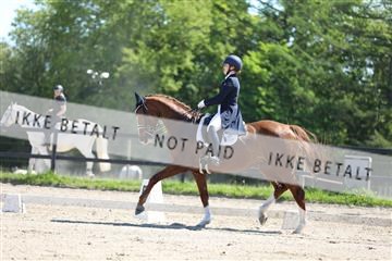 168732_mtp_01_3M5A7185.JPG