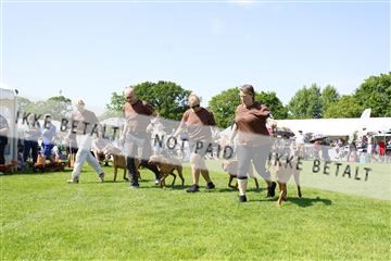181564_kar_01__62_7733.JPG