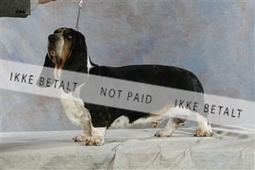 5493_sme _03__MG_9810.JPG