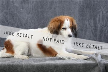 129608_le_ 01_0553.JPG