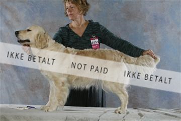 5493_sme _03__MG_9836.JPG