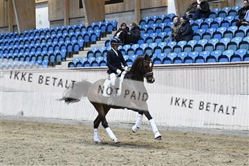 182241_kbb_01_Z093271.JPG