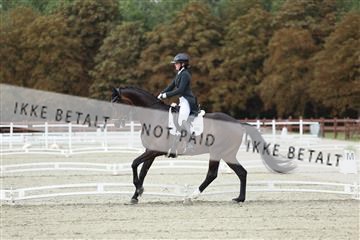 181923_mtp_03_R62_7378.JPG