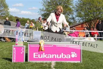 134871_ms_02_IMG_3884.JPG