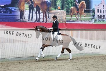 181887_mtp_04_R62_8837.JPG
