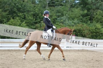 156196_nn_01_IMG_6431.JPG