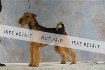 5493_sme _03__MG_9770.JPG