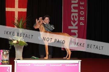 126827_tl_02_IMG_3009.JPG