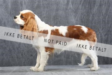 129608_le_ 01_0470.JPG