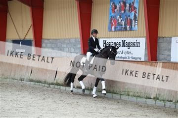 181867_mtp_02_R62_4846.JPG