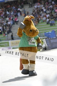 144462_bc_21__BC14900.JPG