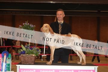 124188 _tl_02_IMG_9663.JPG