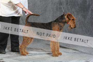 130054_le_ 03_0192.JPG