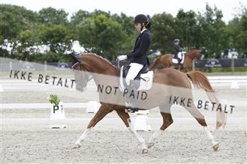 166078_rhj_01__J7R3130.JPG