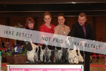 124188 _tl_02_IMG_9274.JPG