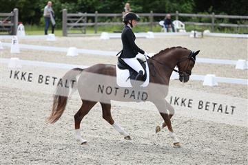 172030_mtp_01_3M5A1941.JPG