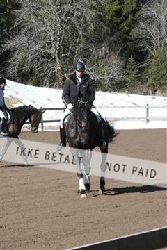 139267_kl_1_8M1Q6677.JPG