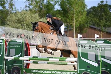 169152_abo_01_D05_0575.JPG