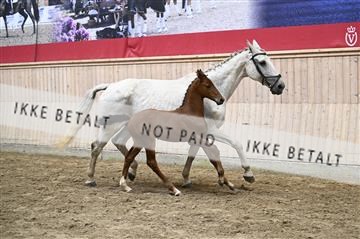 181754_kbb_01_Z092820.JPG