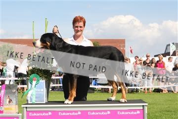 130370_se_03_IMG_7741.JPG