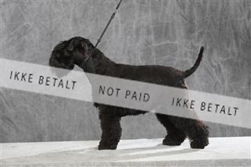 130054_le_ 03_0254.JPG