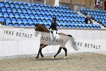 182241_kbb_01_Z095331.JPG