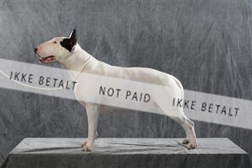 128239_le_kort_ 01_0230.JPG