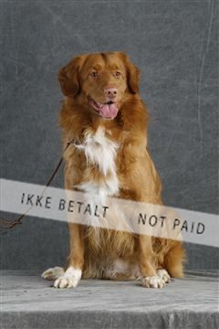 5493_sme _02__MG_9727.JPG