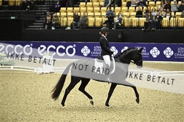 182194_kbb_01_Z096327.JPG
