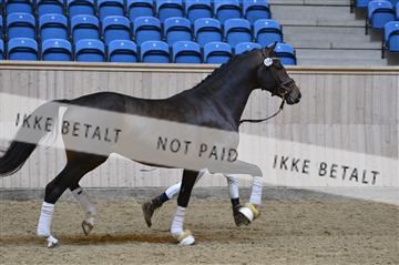 139327_abo_01__AB10311.JPG