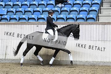 182241_kbb_01_Z094554.JPG