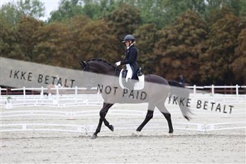 181923_mtp_01_R62_6329.JPG