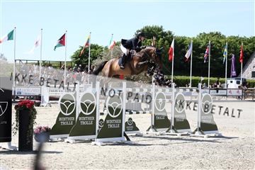181436_avh_03_4584.JPG