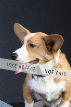 132082_le_ 01_IMG_0236.JPG