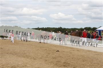 125406_sc_02_IMG_0422.jpg