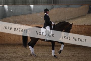 139206_kl_1_8M1Q5395.JPG