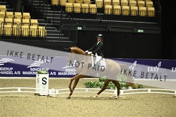 182194_kbb_01_Z095592.JPG