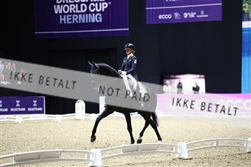 182194_avh_07_3933.JPG