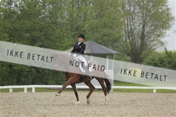 139835_sg_02_IMG_8978.JPG