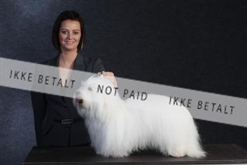 132082_le_ 01_IMG_0382.JPG