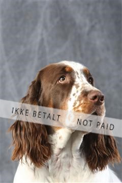 129608_le_ 01_0529.JPG