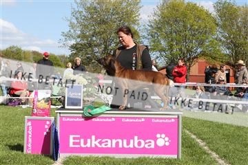 134871_ms_01_IMG_3934.JPG