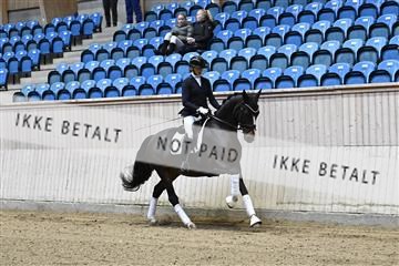 182241_kbb_01_Z094007.JPG