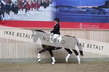 181887_mtp_01_R62_6645.JPG