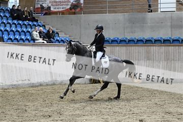 182241_kbb_01_Z093561.JPG