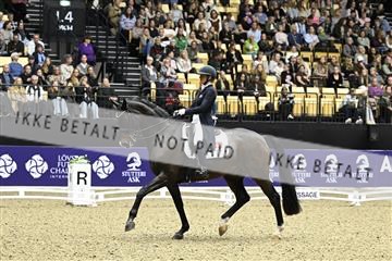 182194_kbb_03_Z092174.JPG