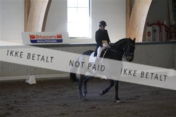 139267_kl_1_8M1Q6744.JPG