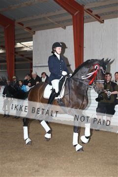 139835_sg_03_IMG_9242.JPG